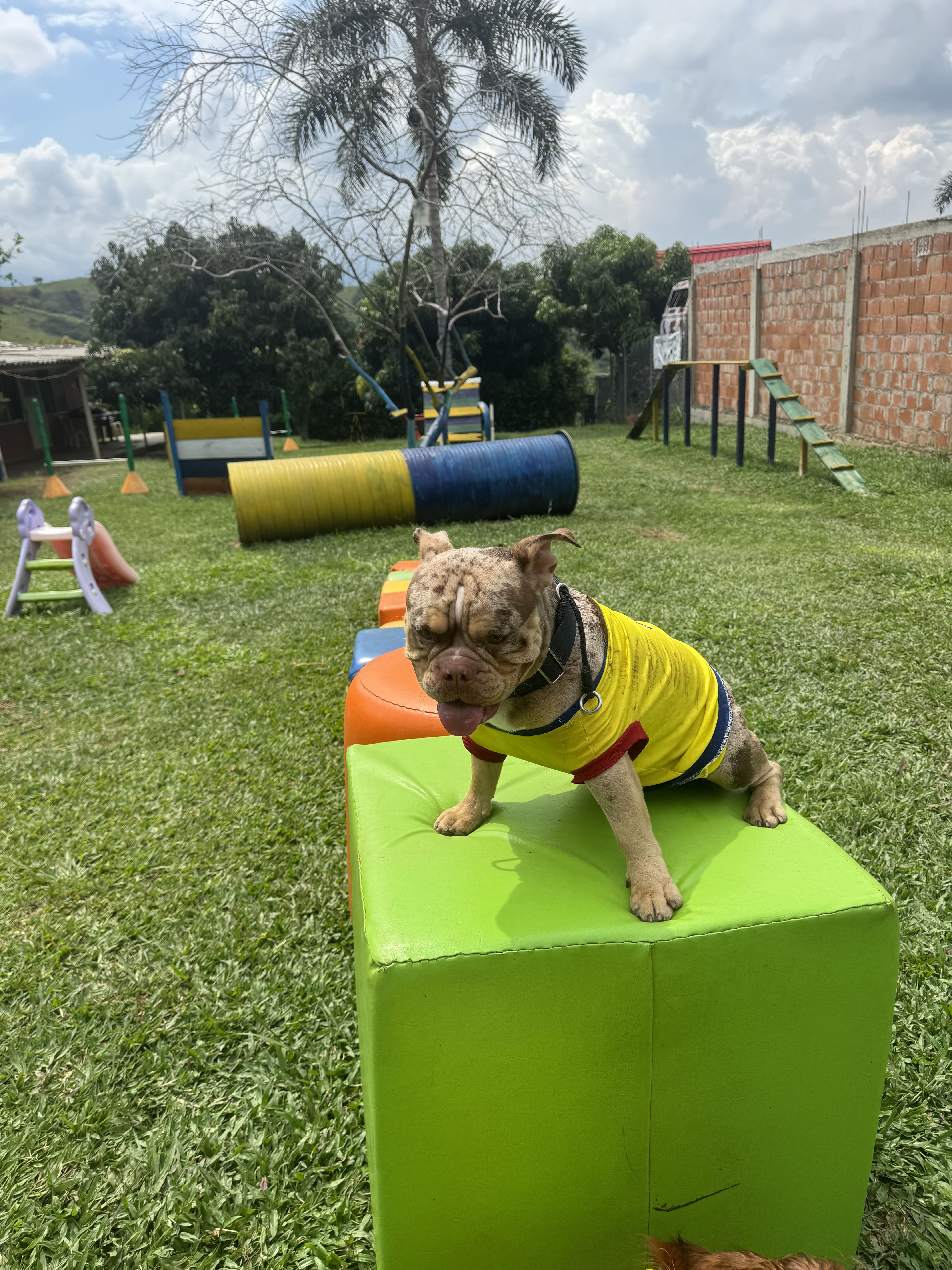 Juegos