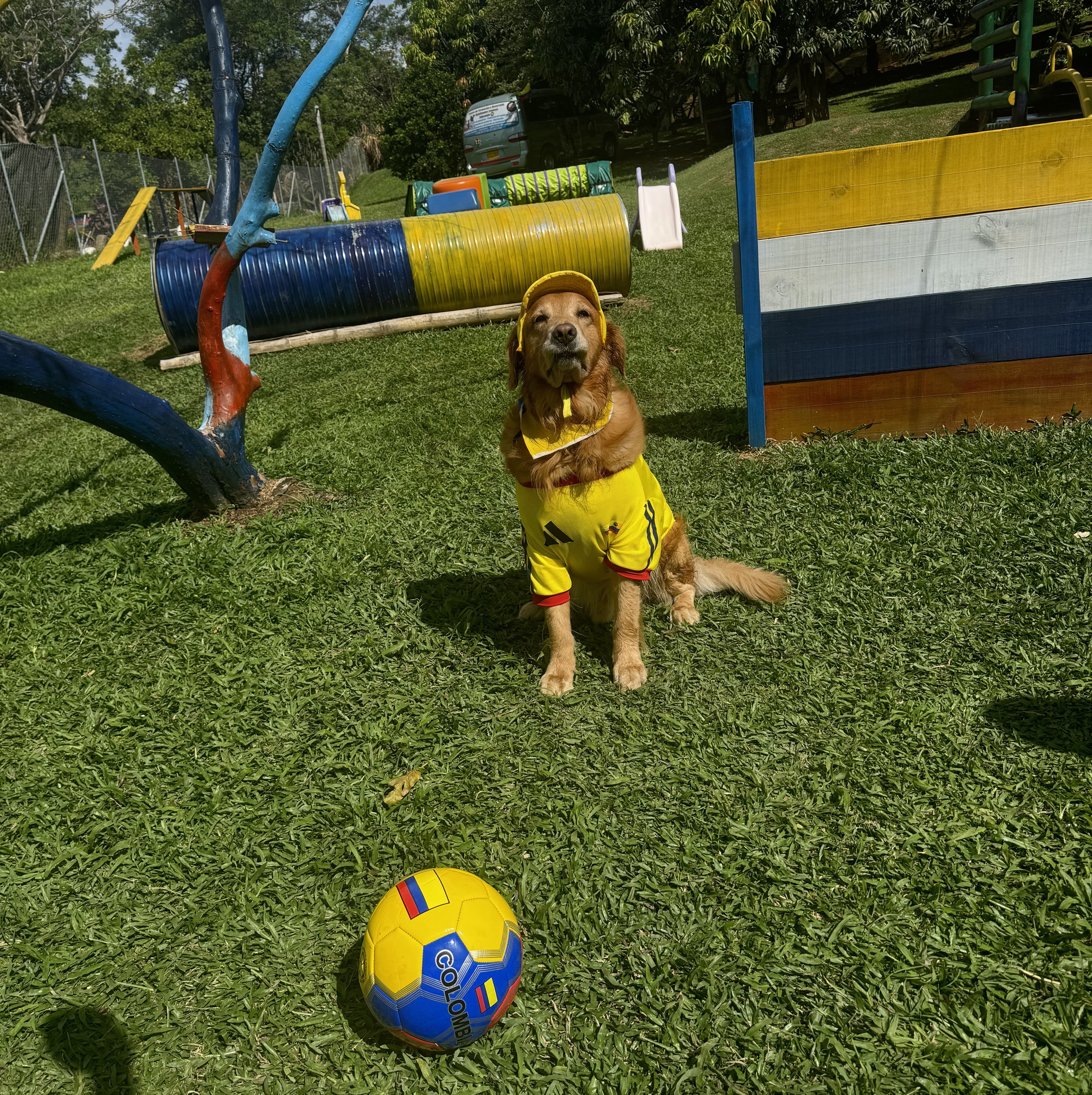 Selección